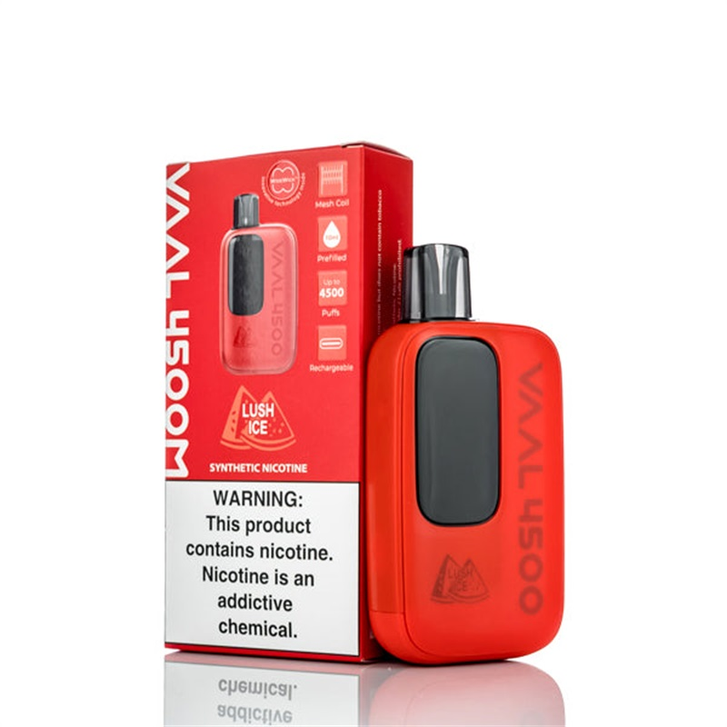 VAAL 4500M Rechargeable Disposable Kit 4500 Puffs 10ml